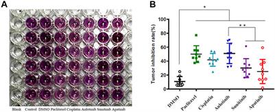 Using Patient-Derived Xenografts to Explore the Efficacy of Treating Head-and-Neck Squamous Cell Carcinoma With Anlotinib